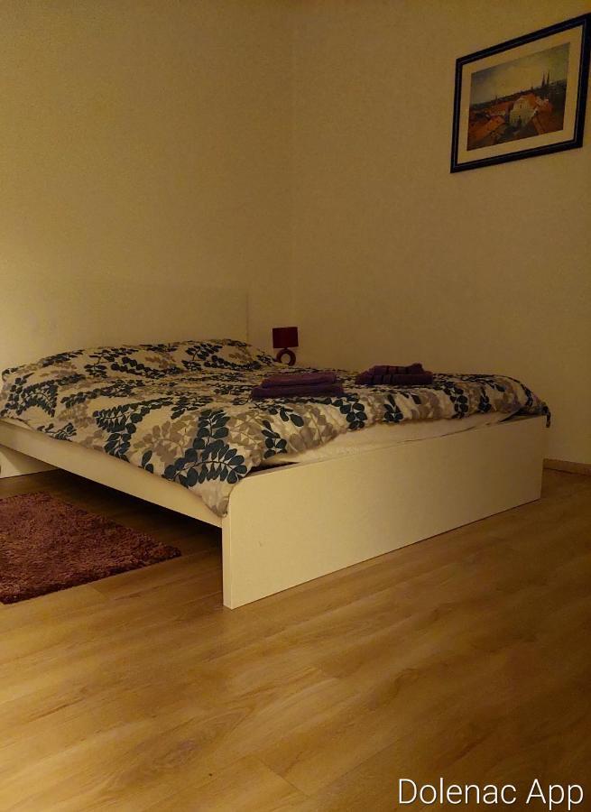 Studio Apartman Dolenac Apartman Zágráb Kültér fotó